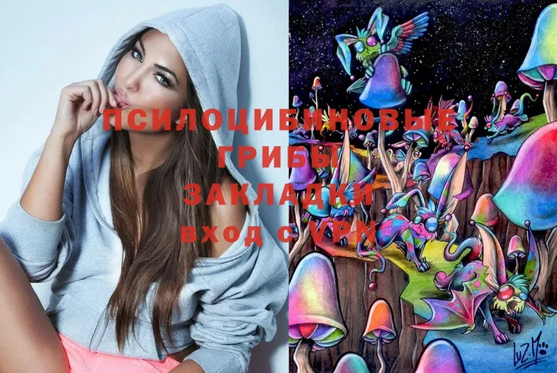 мега   Алапаевск  Псилоцибиновые грибы Magic Shrooms 